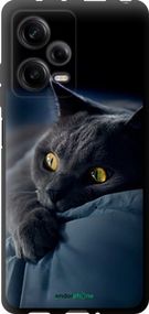 Чохол на Xiaomi Redmi Note 12 Pro 5G Димчастий кіт "825b-2932-2448"