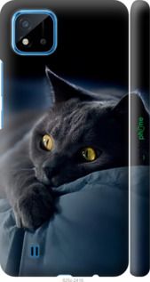 Чохол на Realme C11 2021 Димчастий кіт "825m-2485-2448"