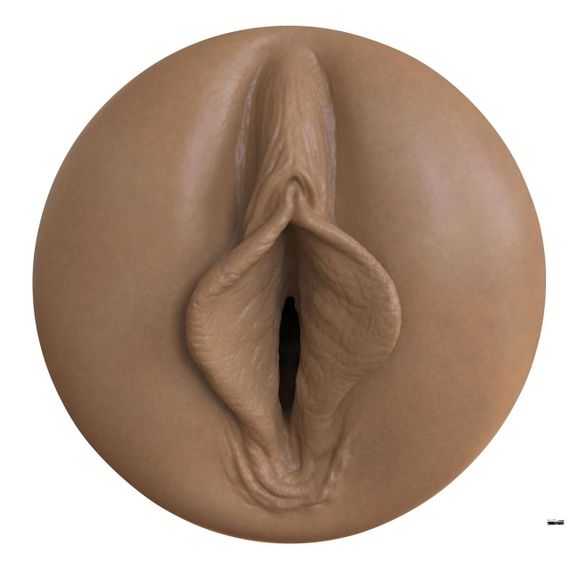 Мастурбатор-вагіна Fleshlight Boost Bang Medium Dark Flesh, плаваючі кільця Turbo Tech | Зображення 1