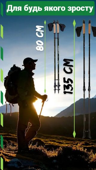 Палиці для скандинавської ходьби PowerPlay 9105 Sisu Black/Gold 80-135 см (пара) (PP_9105_SISU) | Зображення 1