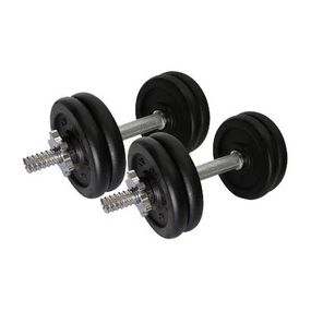 Гантели наборные литые 2 шт по 10 кг TI-968-746-5