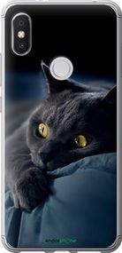 Чохол на Xiaomi Redmi S2 Димчастий кіт "825t-1494-2448"