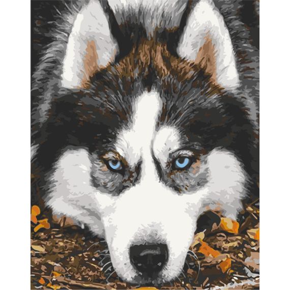Картина за номерами "Засмучений хаскі" Art Craft 40х50 см 11509-AC