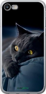 Чохол на iPhone 8 Димчастий кіт "825t-1031-2448"