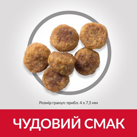 Корм Hill's Science Plan Canine Adult Small & Miniature Chicken сухий з куркою для собак малих порід 6 кг | Зображення 2