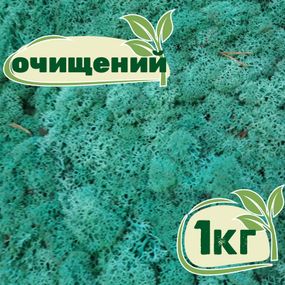 Очищений стабілізований мох ягель Смарагдовий 1 кг