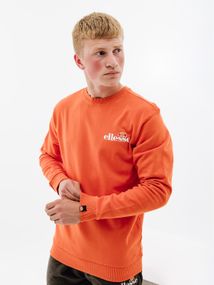 Світшот Ellesse Fierro