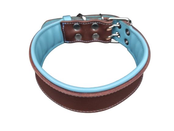 Нашийник шкіряний "Lockdog" для собак brown&blue | Зображення 1