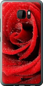 Чехол на HTC U Ultra Красная роза "529u-833-17620"