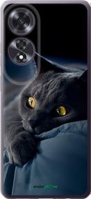 Чохол на Oppo A60 4G Димчастий кіт "825u-3702-2448"