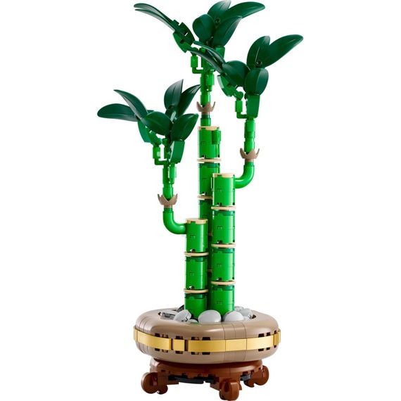 Конструктор LEGO Botanicals Бамбук щастя (10344) | Зображення 1