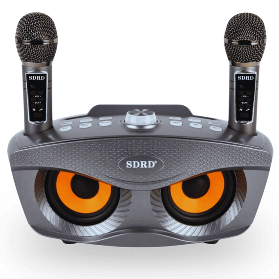 Портативная Караоке Система Для Дома с Двумя Микрофонами и Профессиональным Звукоснимателем SDRD SD306 Plus