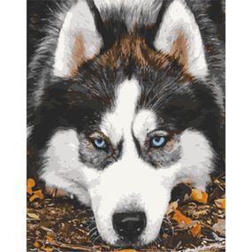 Картина по номерам "Опечаленный хаски" Art Craft 40х50см 11509-AC