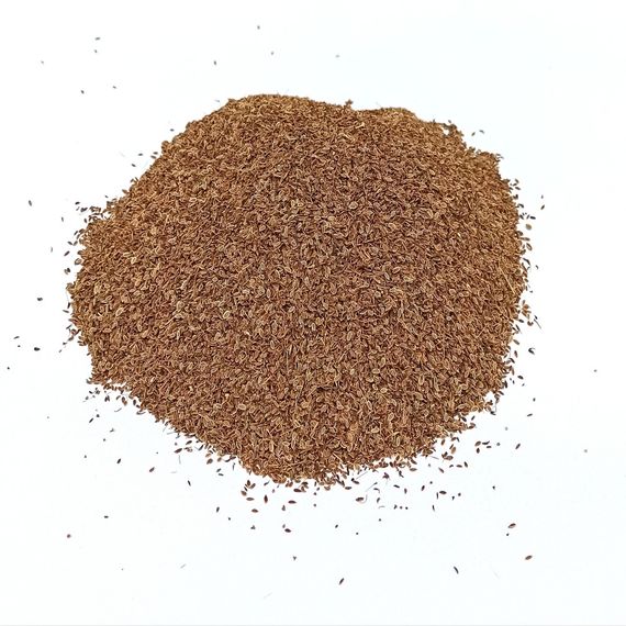 Насіння Кропу кущового 0,5 кг (Насіння країни)