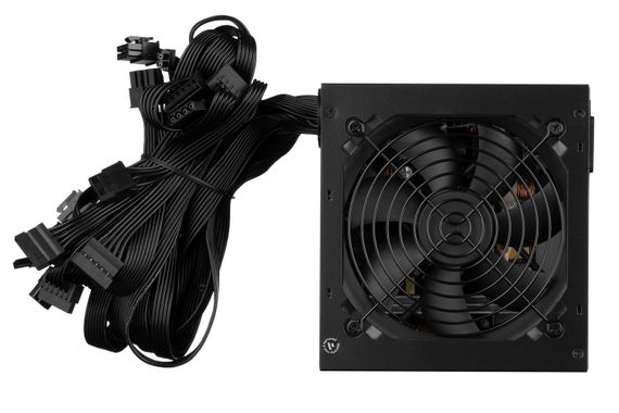 Блок живлення 2E MASTER POWER (550W) (2E-MP550-120APFC) | Зображення 2