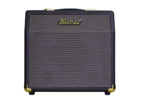 Комбопідсилювач для акустичних інструментів Belcat Acoustic 15C