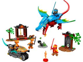Конструктор LEGO Ninjago Храм ніндзя-дракона (71759)