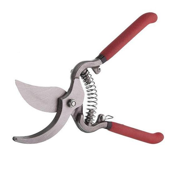 Секатор, 250 мм, різ: Ø 15 мм INTERTOOL FT-1004 | Зображення 1