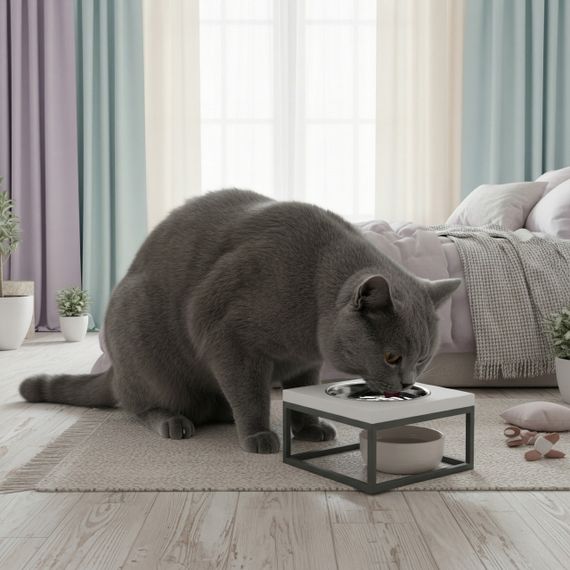 Миска на подставке для кошек и средних собак Hollky Base Solo M (1 × 0,8 л) Solo M-212110-GRWH | Зображення 1