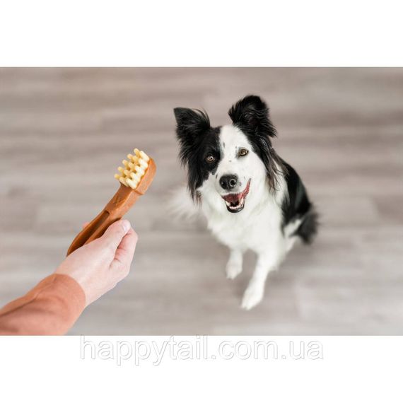 Ласощі Whimzees Toothbrush д/собак у формі зубної щітки M 12 шт | Зображення 6