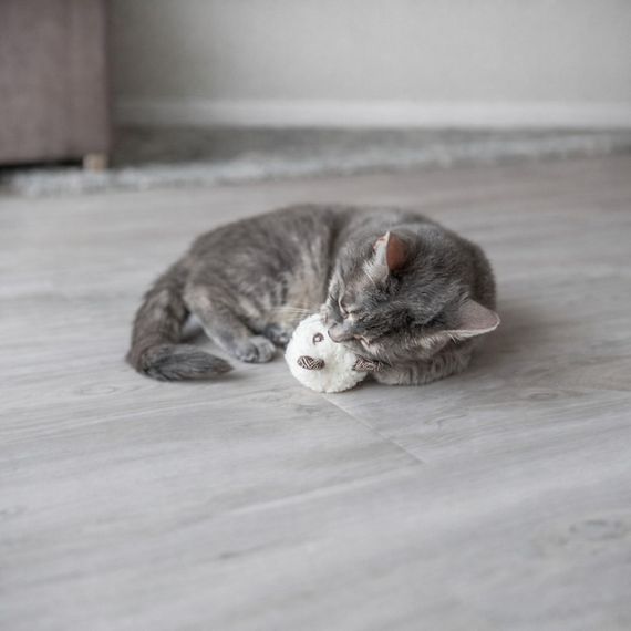 Іграшка Trixie для котів Ведмідь плюшевий з котячою м ятою 8 см  в асортименті | Зображення 2