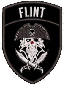Шеврон Flint