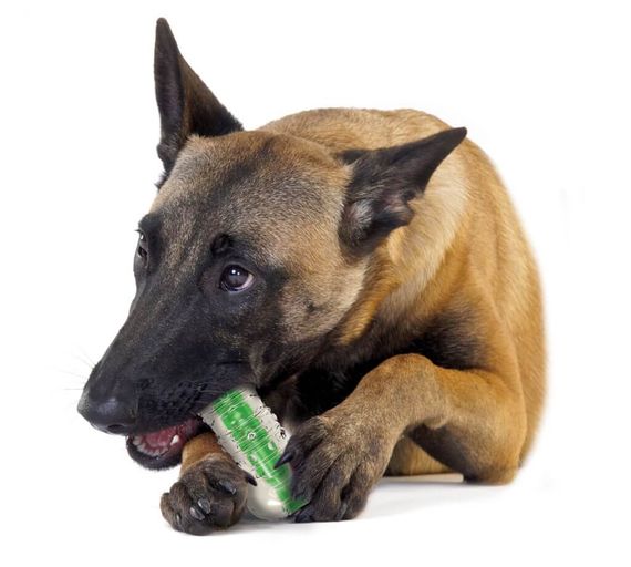 Іграшка для собак OutwardHound Petstages Crunchcore, 13 см | Зображення 1