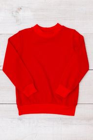 Джемпер для дівчинки Носи своє 104 Червоний (p-4550-180128)