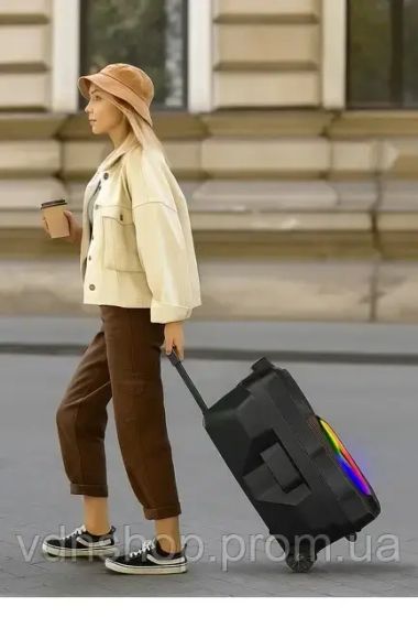 Бездротова караоке-колонка із двома мікрофонами SPS ZQS15123 | Зображення 3