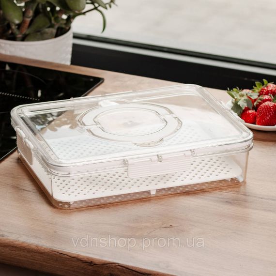 Контейнер для еды с ручкой 31х24х7 см пластиковый пищевой контейнер 2.5 л HP-27-10 | Зображення 1