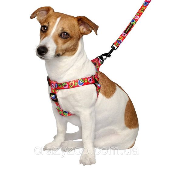 Повідець для собак BronzeDog Urban Folk S квіти кораловий 1.6х152 см 60/1416/T | Зображення 1