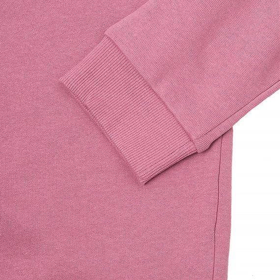 Толстовка JEEP HOODED CROPPED SWEATSHIRT Striped Print | Зображення 3
