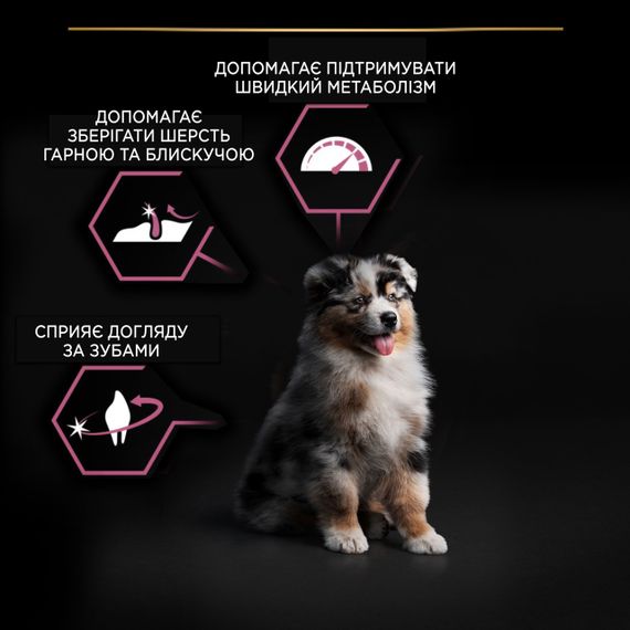 Сухий корм для цуценят середніх порід з лососем Purina Pro Plan Puppy Medium Sensitive Skin 12 кг | Зображення 4
