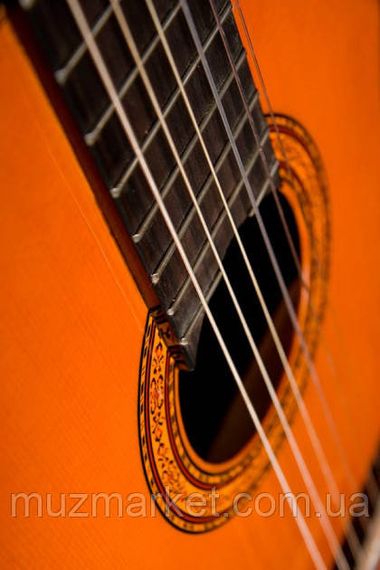 Гітара класична Washburn C5 | Зображення 4