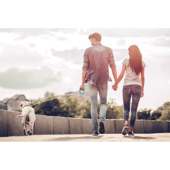 Повідець-рулетка для собак WAUDOG R-leash, кругла, XS-M, до 40 кг, 2,9 м, світловідбиваюча стрічка блакитний | Зображення 7