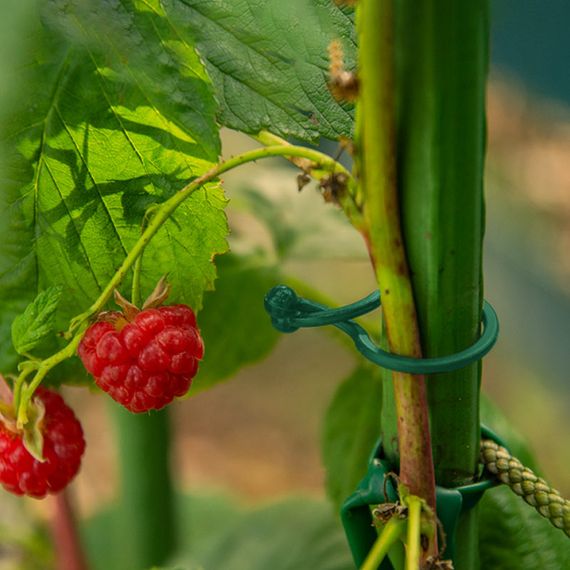 Затискачі Bradas TWIST LOCK діаметром 18 мм 50 шт TYK18GR/50 | Зображення 2