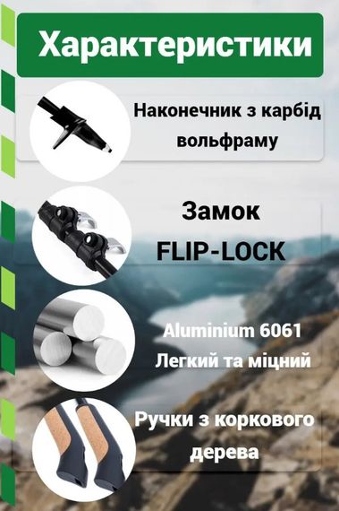 Палиці для скандинавської ходьби PowerPlay 9111 Lykke Green 80-135 см (пара) + 2-ві пари чобітків + чохол (PP_9111_Green) | Зображення 1