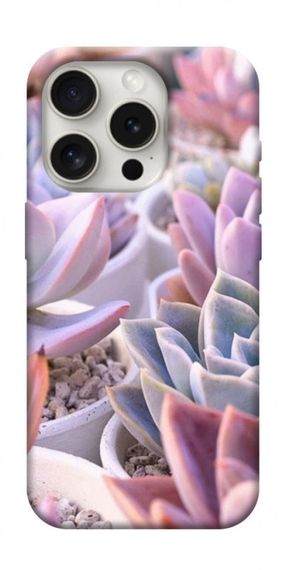 Чохол з картинкою Ехеверія 2 для Apple iPhone 16 Pro Max (6.9")