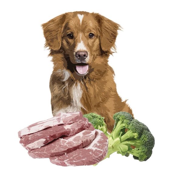 Напіввологий корм для собак зі свининою Orygo Pork, 8 кг | Зображення 1