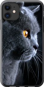 Чехол на iPhone 11 Красивый кот "3038u-1722-17620"