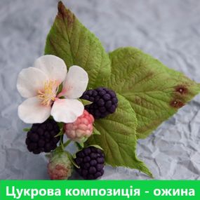 Сахарные цветы из мастики: цветок и ягоды ежевики с листочками. Украшение для свадебного торта