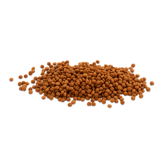 Корм Tetra Cichlid Colour Mini для невеликих цихлід для яскравості забарвлення гранули 10 л | Зображення 1