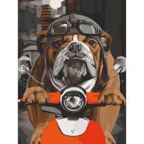 Картина по номерам "Бульдог на мопеде"11661 30х40 см