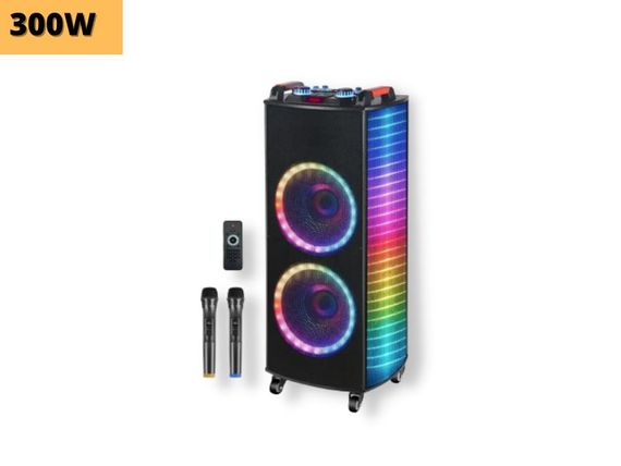 Акумуляторна акустична система XPRO GZ-1010 колонка валіза 300Вт USB, SD, FM радіо, Bluetooth, 2 радіомікрофони, ДУ (MER-15689) | Зображення 1