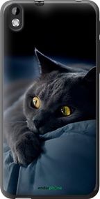 Чохол на HTC Desire 816 Димчастий кіт "825u-169-2448"