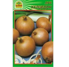 Насіння цибулі Халцедон 0,5 г (Насіння країни)