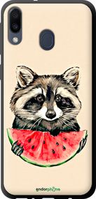 Чохол на Samsung Galaxy M20 Єнотик з кавуном "4605b-1660-2448"