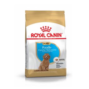 Сухий корм для цуценят породи пудель Royal Canin Poodle Puppy, 500 гр