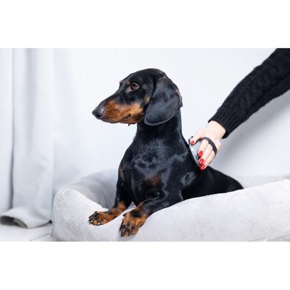 Щітка масажна FURminator для собак та котів гумова | Зображення 6