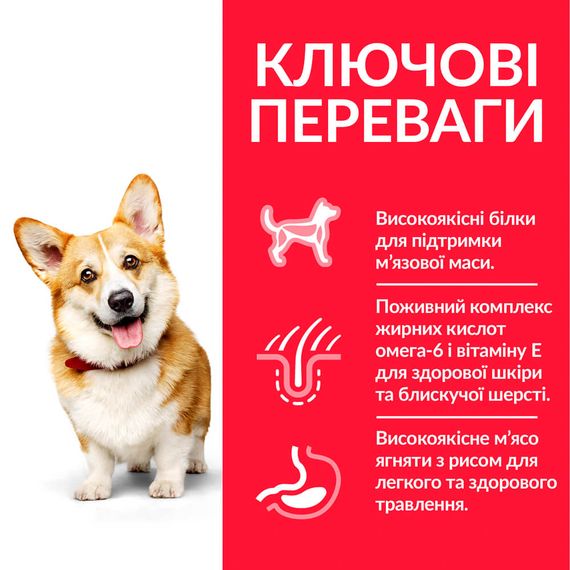 Корм Hill's Science Plan Canine Adult Small & Miniature Lamb & Rice сухий з ягнятком для собак малих порід 0.3 кг | Зображення 1